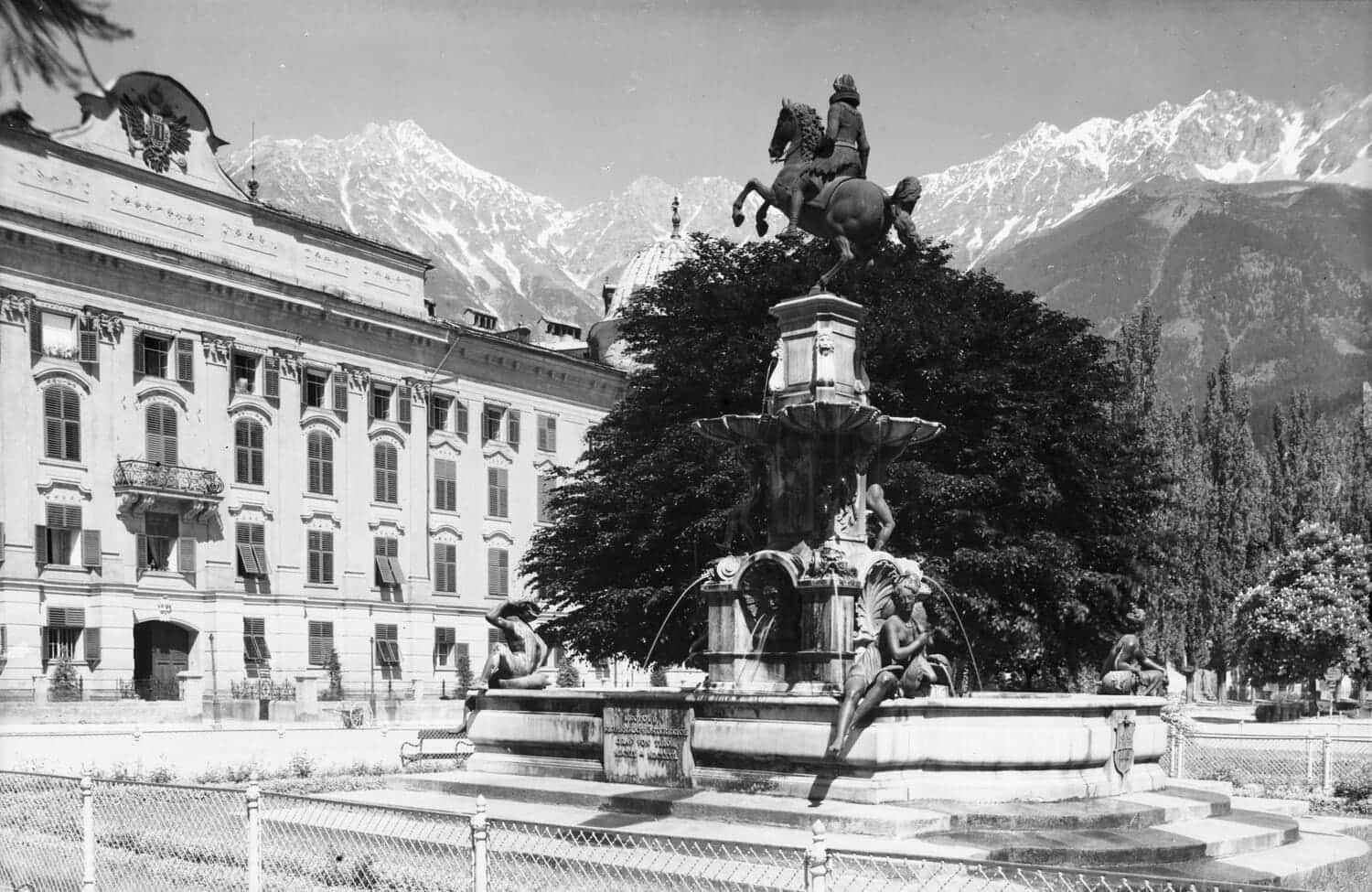 Blutbuche Innsbruck