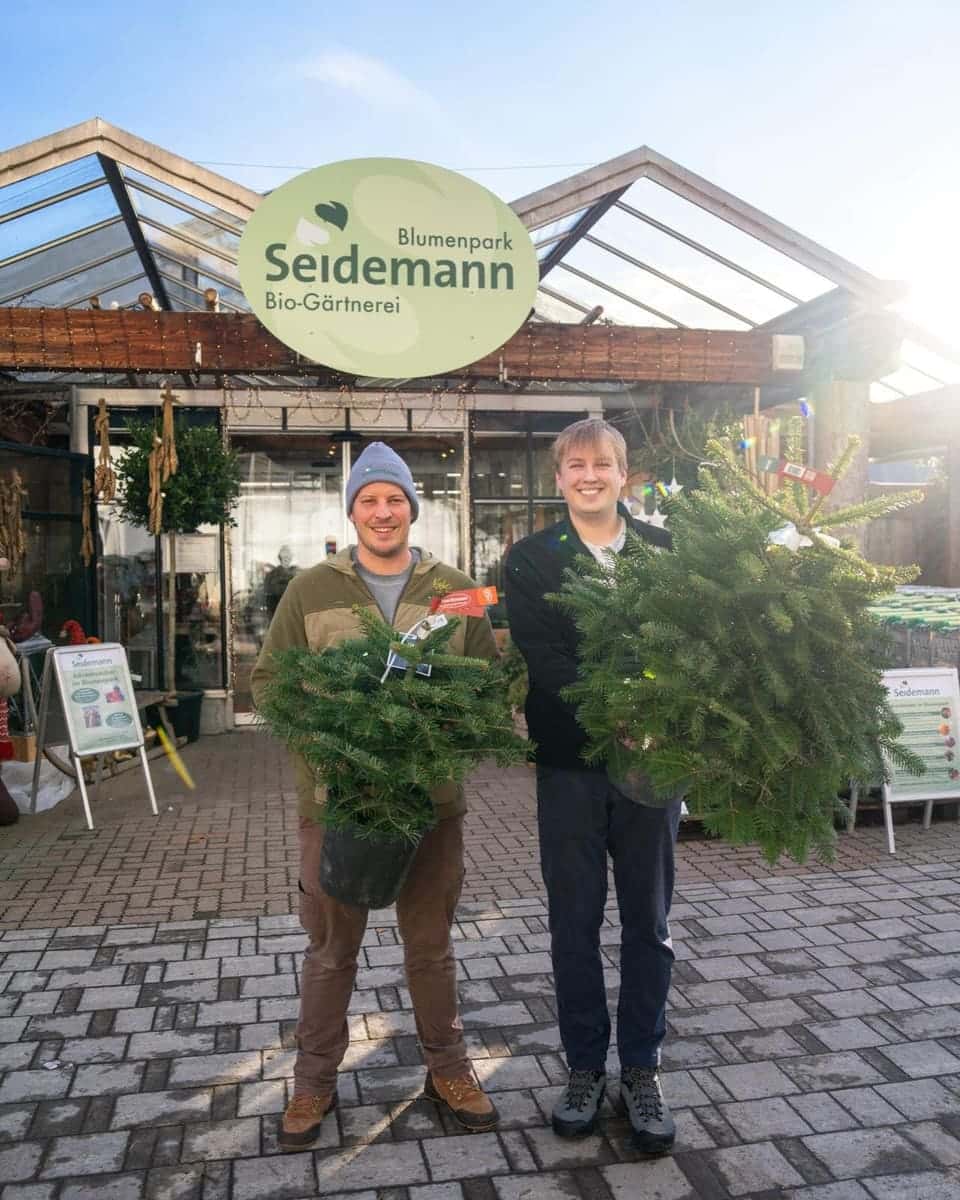 Zweites Leben für Christbäume
