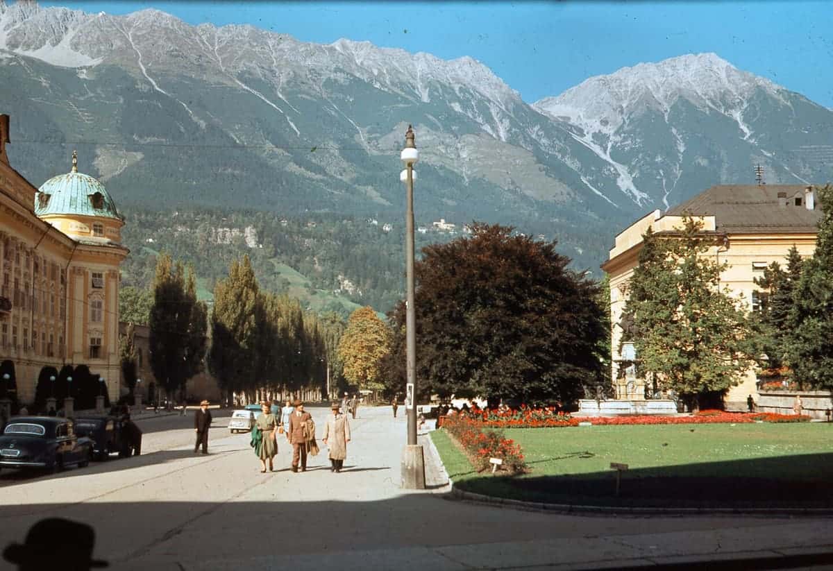 Historische Aufnahmen der Blutbuche zwischen 1930 und 1950 (Quelle: Stadtarchive)