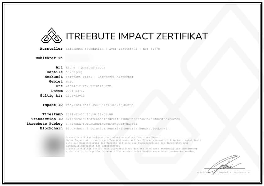So sieht ein echtes Impact-Zertifikat aus: eine gepflanzte Eiche, festgehalten mit Art, Herkunft, Ort und Datum. Name aus Datenschutzgründen unkenntlich gemacht.