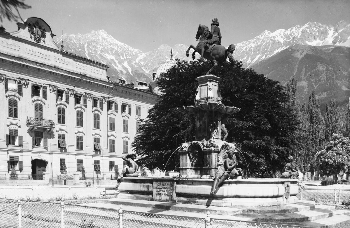 Blutbuche Innsbruck um 1930 - 1950